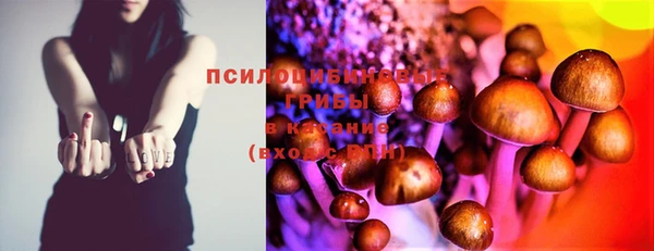 дмт Козловка